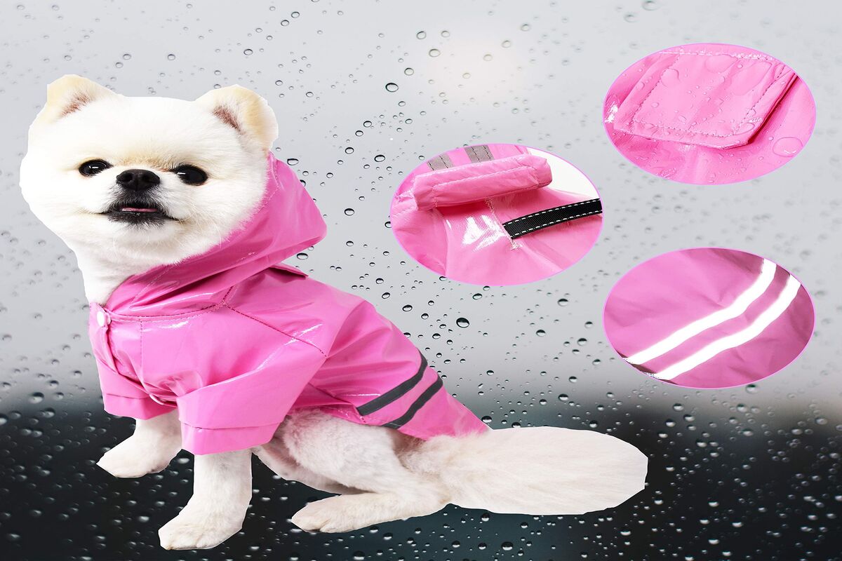 A Little Bit About Waterproof Dog Coats With Underbelly Protection