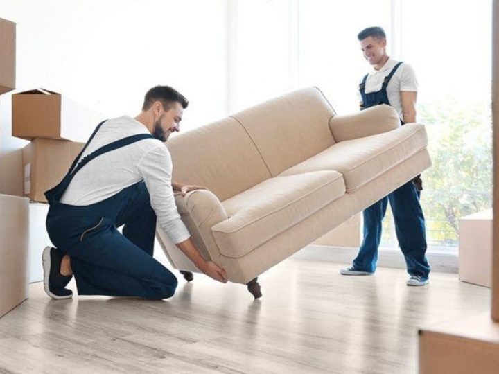 Removal Services – An Introduction