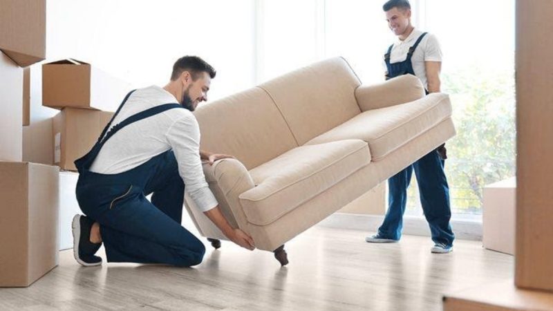 Removal Services – An Introduction