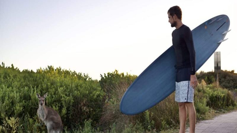 Best Beginner Surfboard – Uncover The Truth About Them