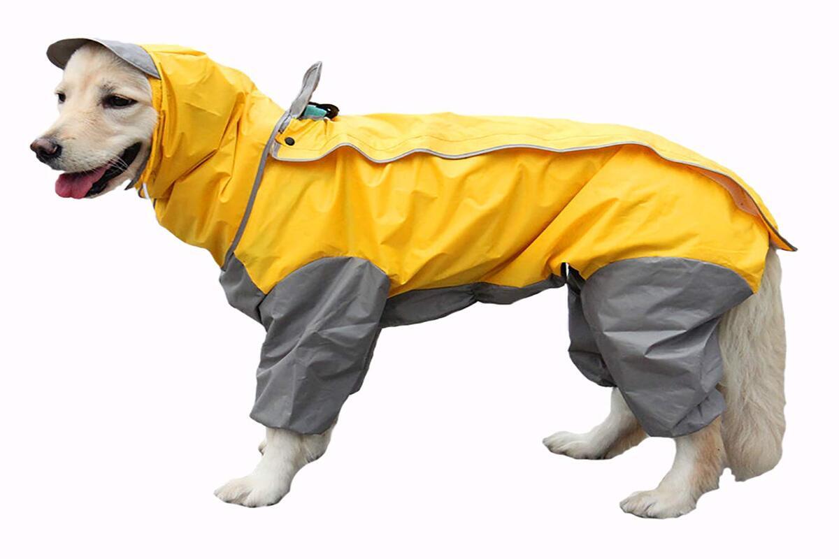 A Few Facts About Winter Dog Coats