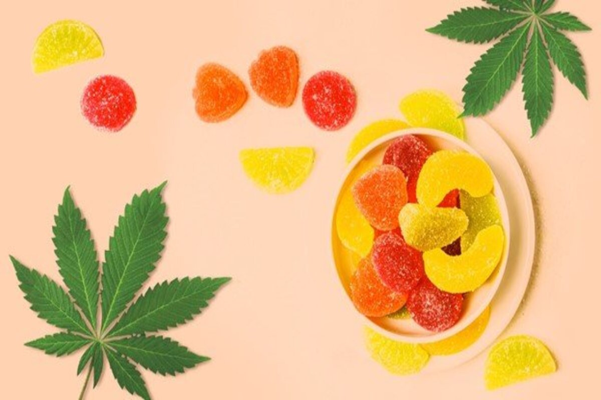 Organic CBD Gummies – An Introduction