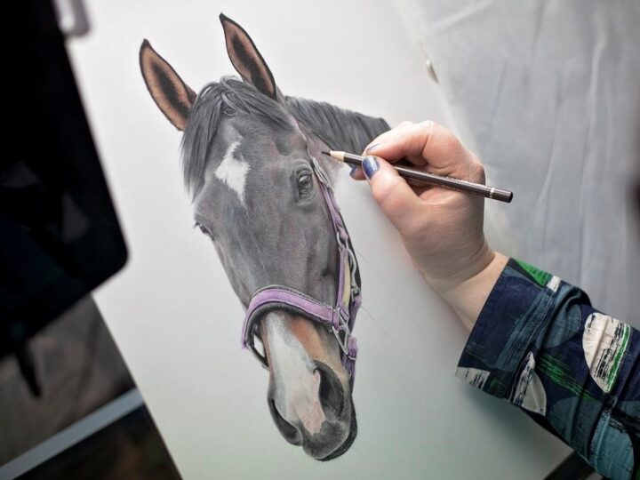 Pet Portraits Hand Drawn And Their Myths