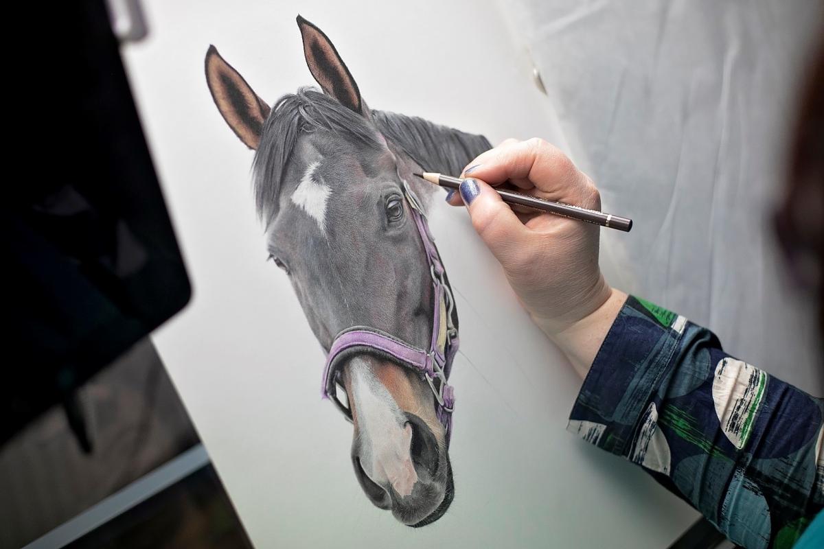 Pet Portraits Hand Drawn And Their Myths