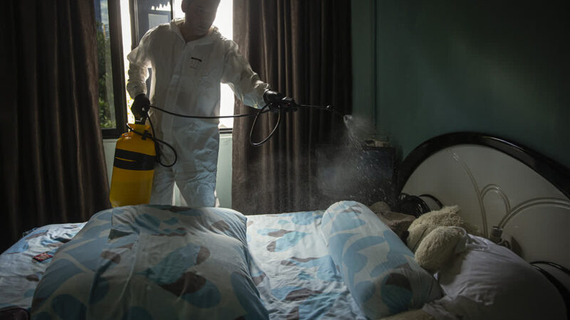 Benefits Of Trauma Cleaning Services