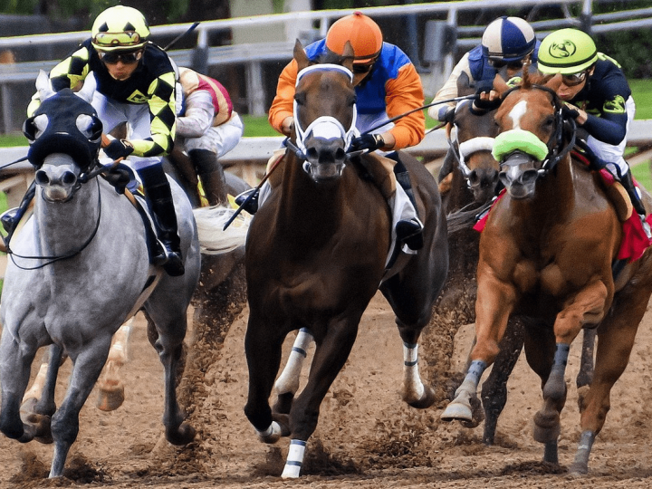 New Horse Racing Betting Sites – An Introduction